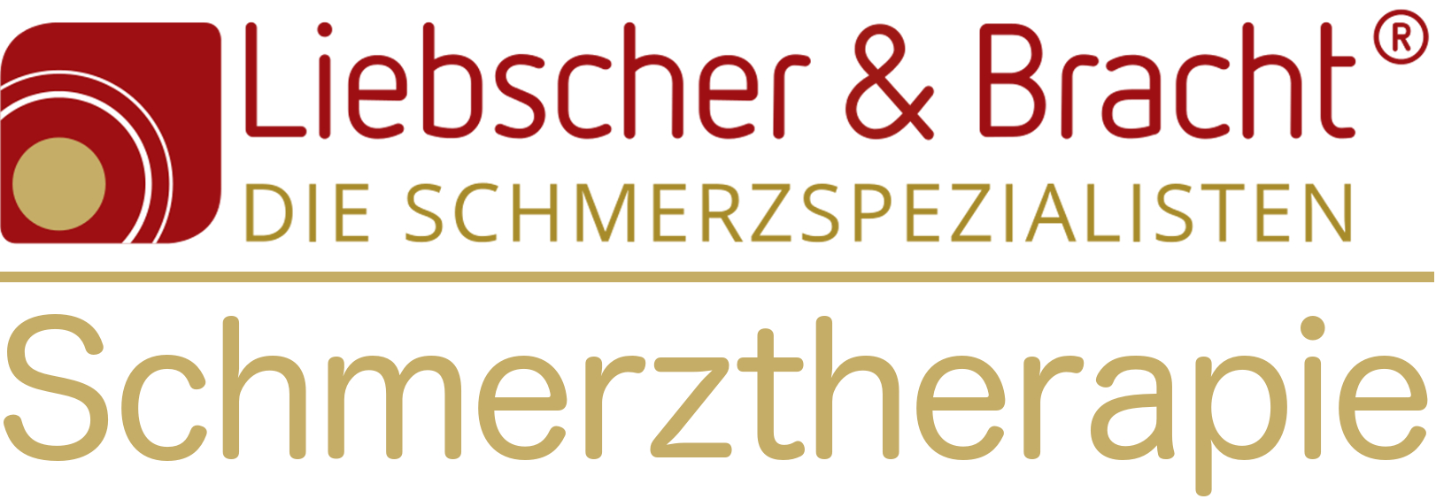 schmerztherapie